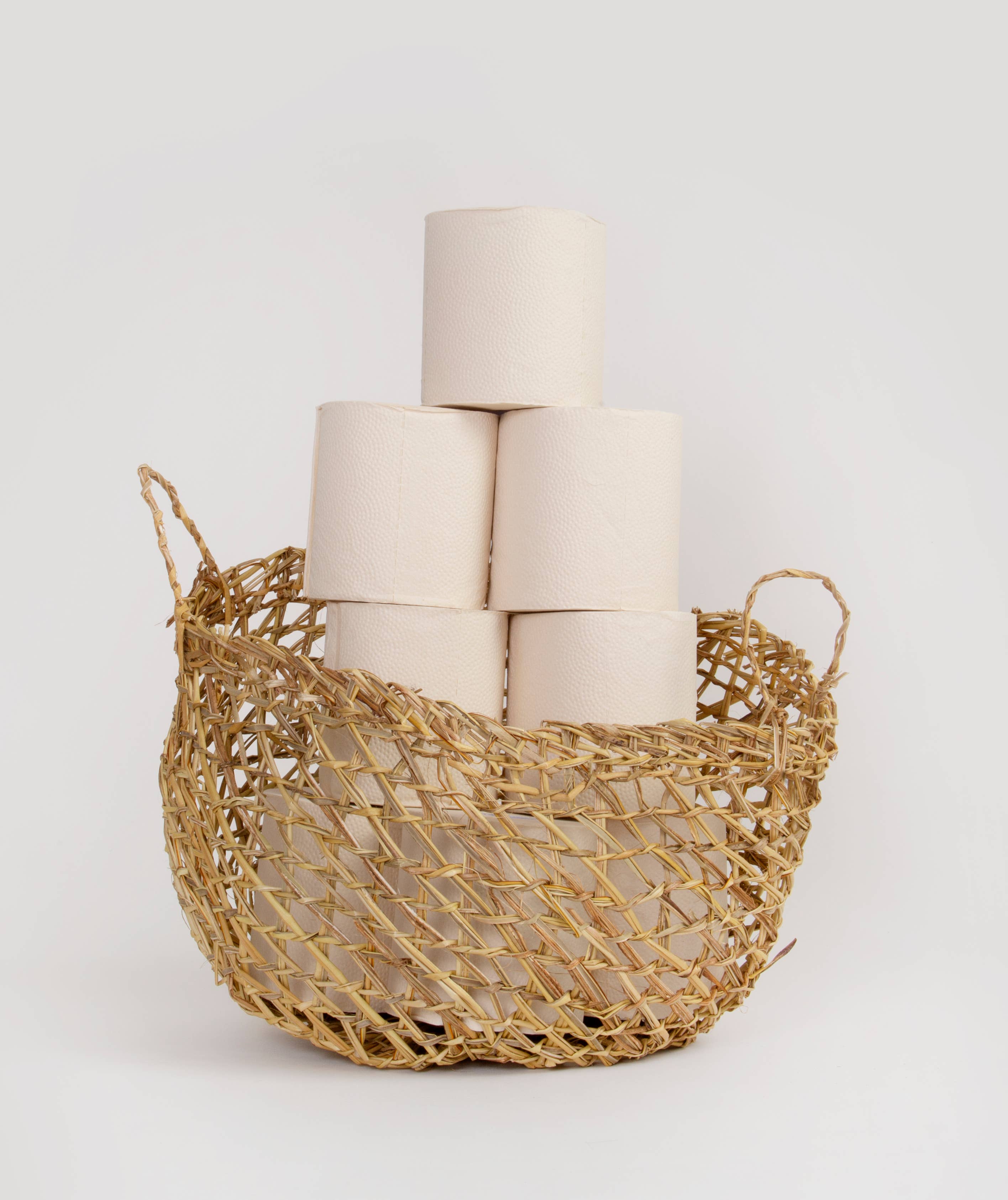 Plant Paper- Tree-free, toxin-free Toilet Paper