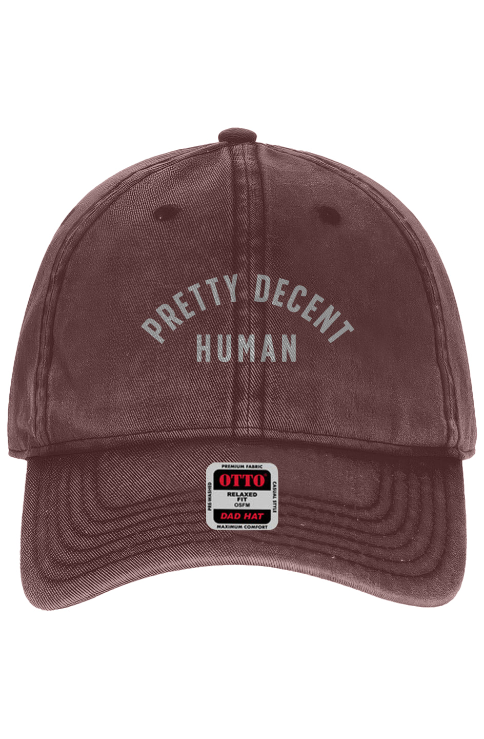 PRETTY DECENT HUMAN - Snow-Washed Daddy Hat
